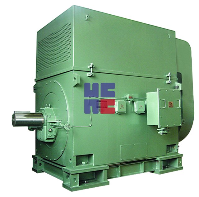 YAKK系列增安型高壓三相異步電動機(H355~H1000)