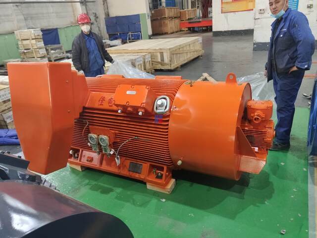 YBBP系列高壓隔爆型變頻調(diào)速三相異步電動機(H355~H560)